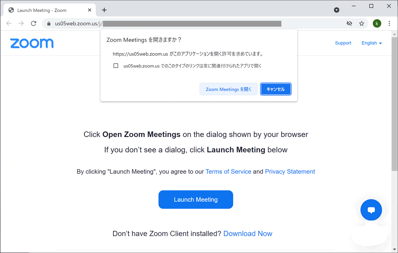 zoom client